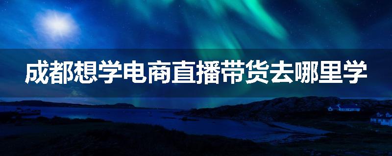 成都想学电商直播带货去哪里学