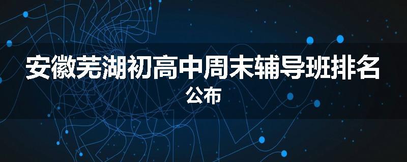 安徽芜湖初高中周末辅导班排名公布