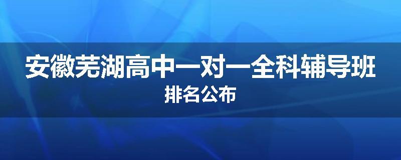 安徽芜湖高中一对一全科辅导班排名公布
