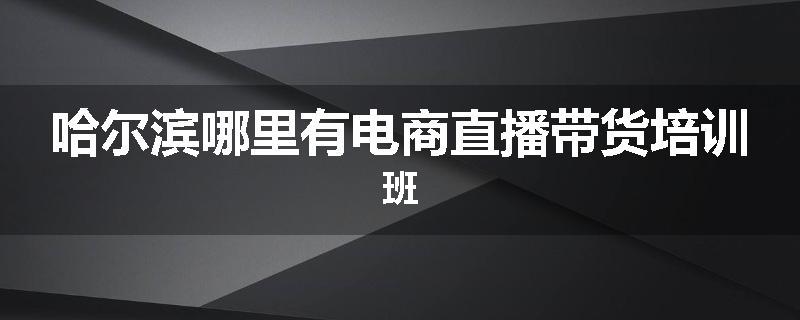哈尔滨哪里有电商直播带货培训班