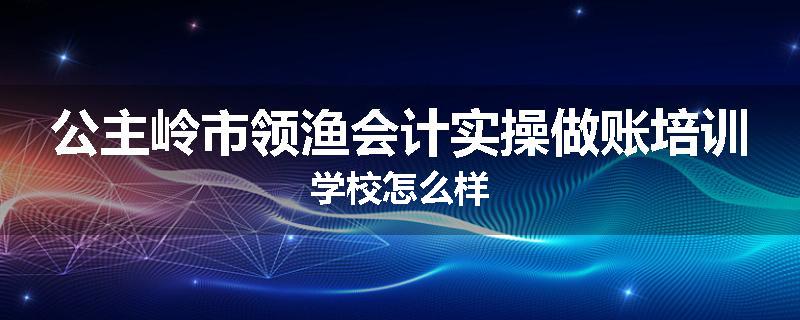 公主岭市领渔会计实操做账培训学校怎么样