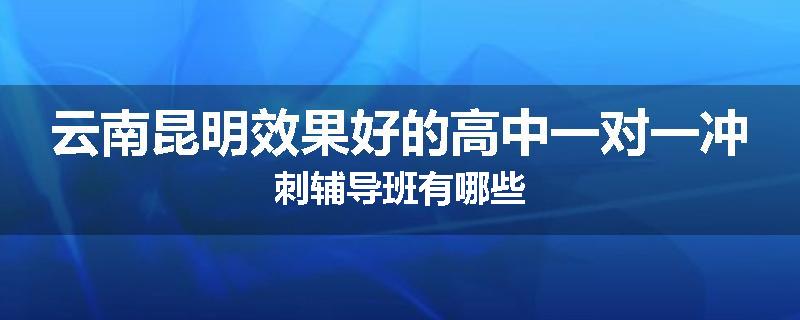 云南昆明效果好的高中一对一冲刺辅导班有哪些