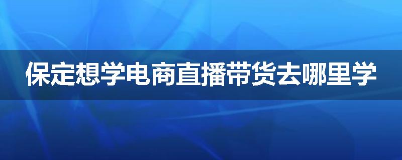 保定想学电商直播带货去哪里学