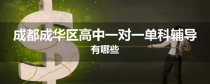 成都成华区高中一对一单科辅导有哪些