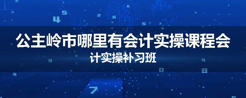 公主岭市哪里有会计实操课程会计实操补习班