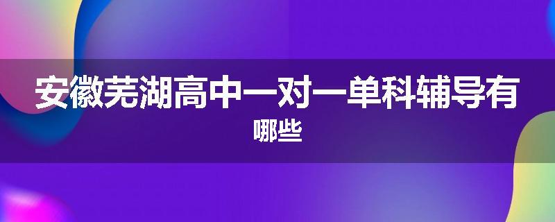 安徽芜湖高中一对一单科辅导有哪些