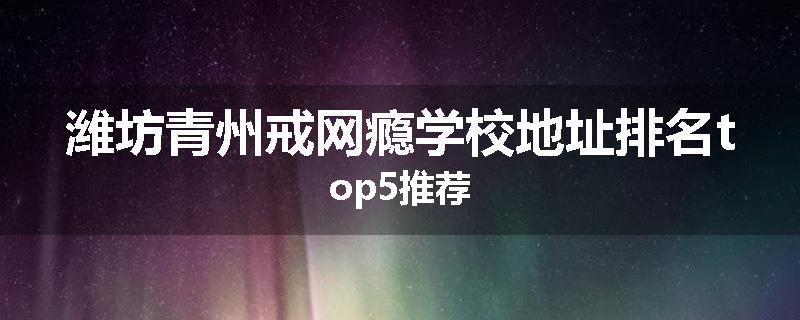 潍坊青州戒网瘾学校地址排名top5推荐