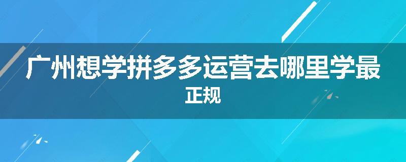 广州想学拼多多运营去哪里学最正规