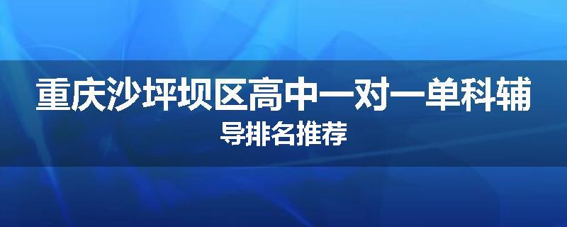 重庆沙坪坝区高中一对一单科辅导排名推荐