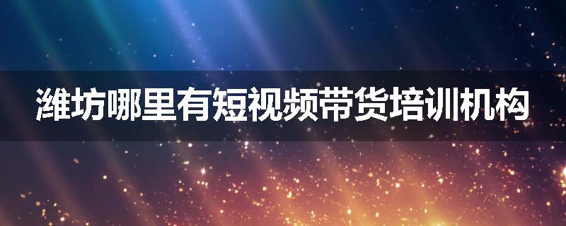 潍坊哪里有短视频带货培训机构