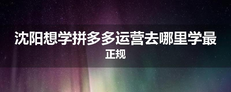 沈阳想学拼多多运营去哪里学最正规