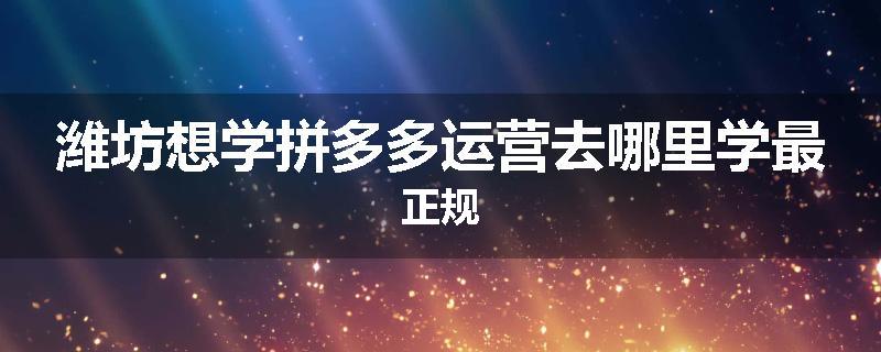 潍坊想学拼多多运营去哪里学最正规
