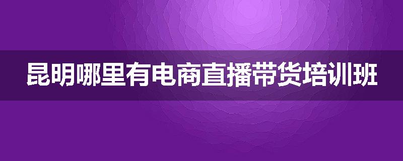 昆明哪里有电商直播带货培训班