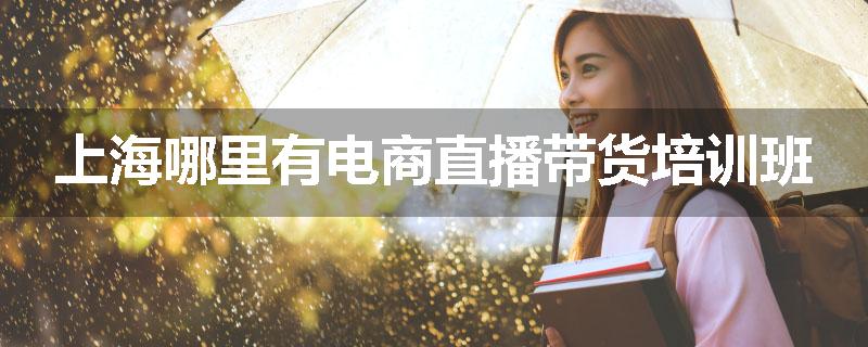 上海哪里有电商直播带货培训班