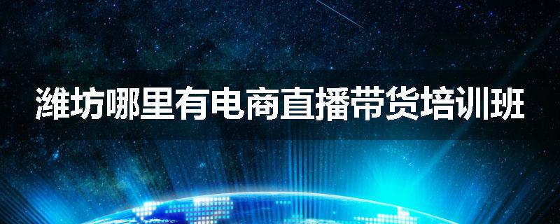 潍坊哪里有电商直播带货培训班
