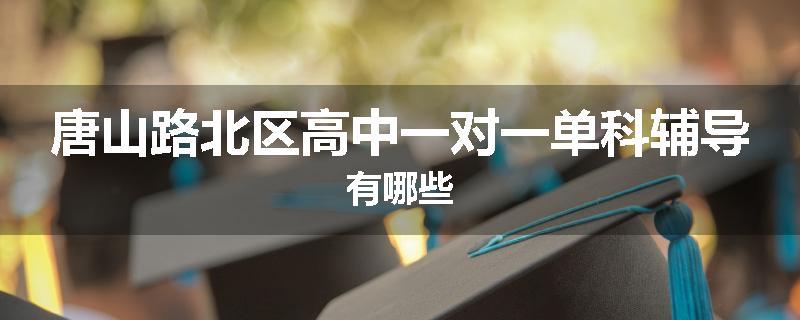 唐山路北区高中一对一单科辅导有哪些