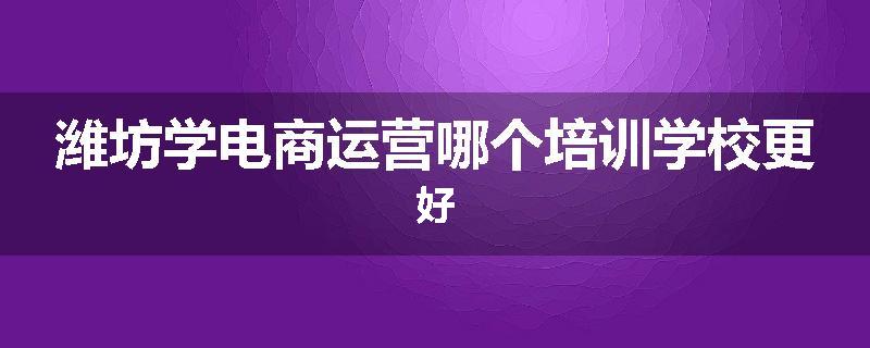 潍坊学电商运营哪个培训学校更好