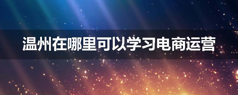 温州在哪里可以学习电商运营