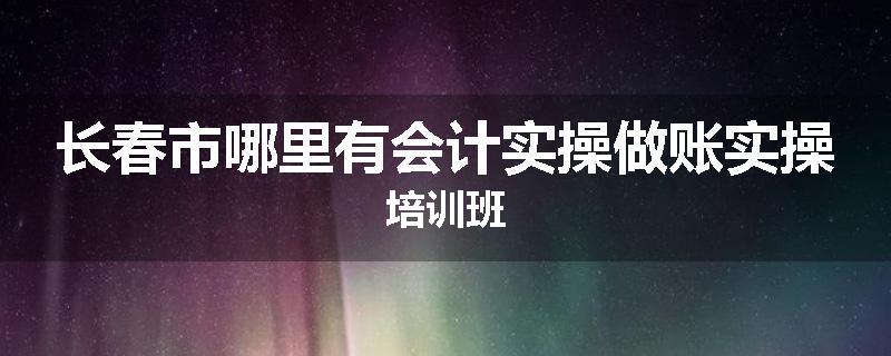 长春市哪里有会计实操做账实操培训班