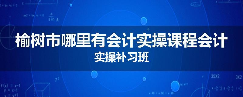 榆树市哪里有会计实操课程会计实操补习班