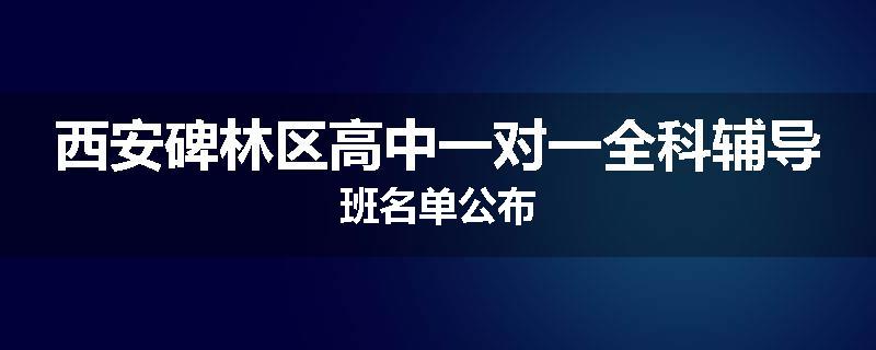 西安碑林区高中一对一全科辅导班名单公布