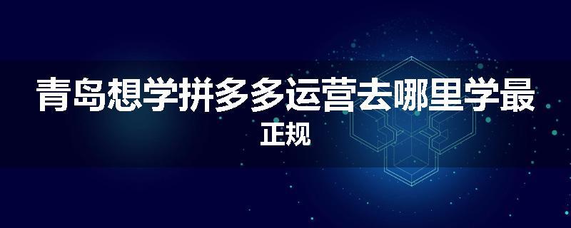 青岛想学拼多多运营去哪里学最正规