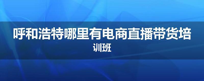 呼和浩特哪里有电商直播带货培训班