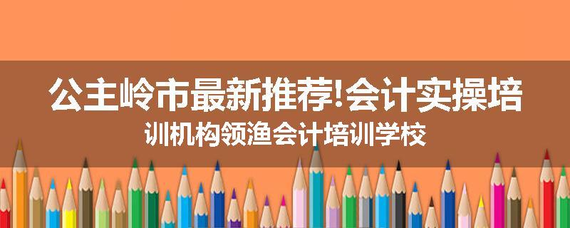 公主岭市最新推荐!会计实操培训机构领渔会计培训学校