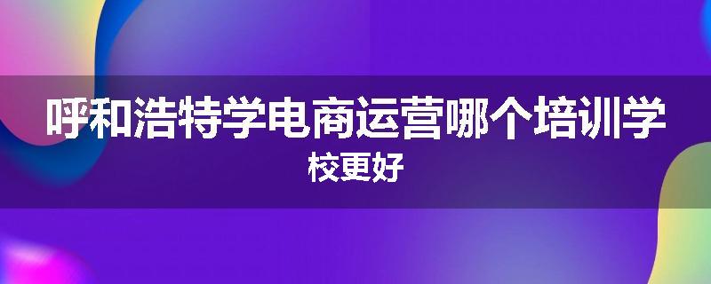 呼和浩特学电商运营哪个培训学校更好