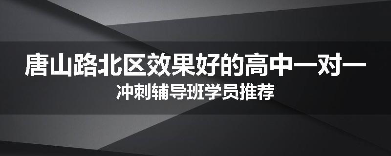 唐山路北区效果好的高中一对一冲刺辅导班学员推荐