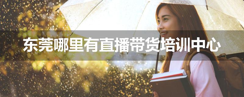 东莞哪里有直播带货培训中心