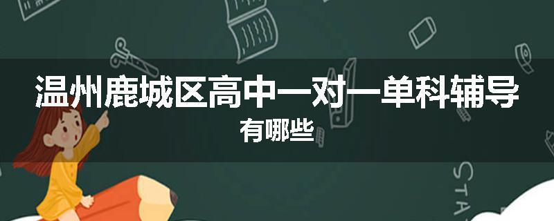 温州鹿城区高中一对一单科辅导有哪些