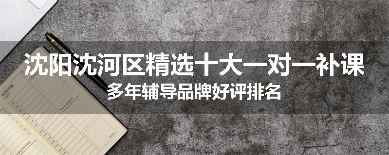 沈阳沈河区精选十大一对一补课多年辅导品牌好评排名