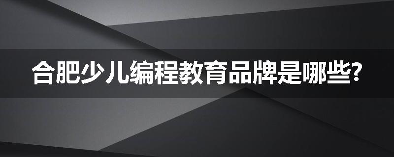 合肥少儿编程教育品牌是哪些?