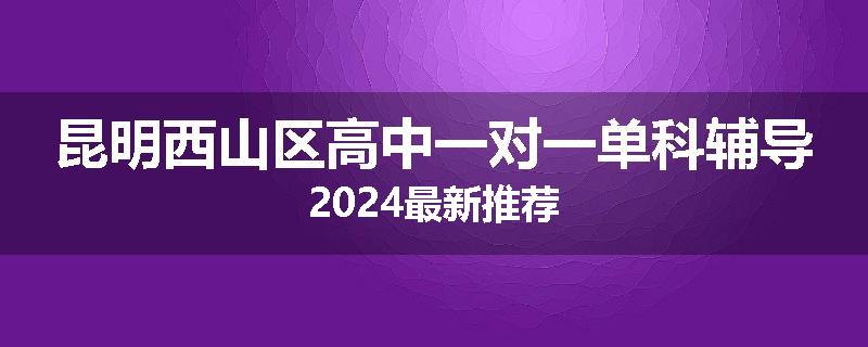 昆明西山区高中一对一单科辅导2024最新推荐