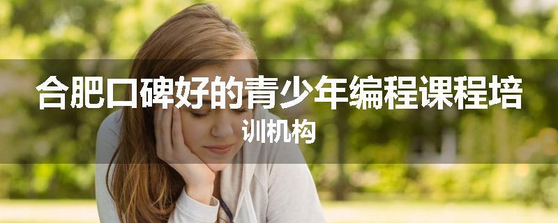 合肥口碑好的青少年编程课程培训机构