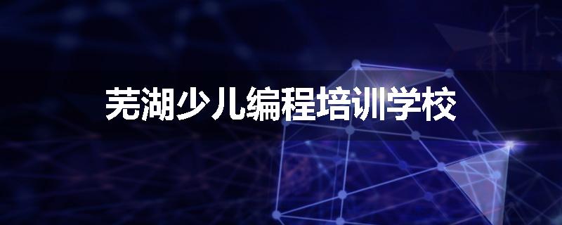 芜湖少儿编程培训学校