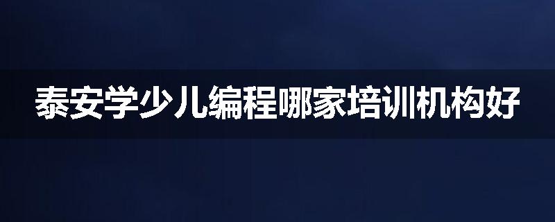泰安学少儿编程哪家培训机构好