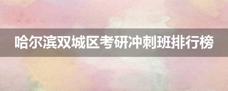 哈尔滨双城区考研冲刺班排行榜