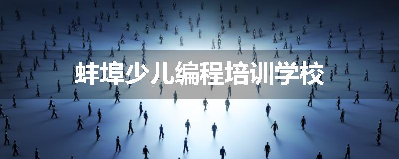 蚌埠少儿编程培训学校