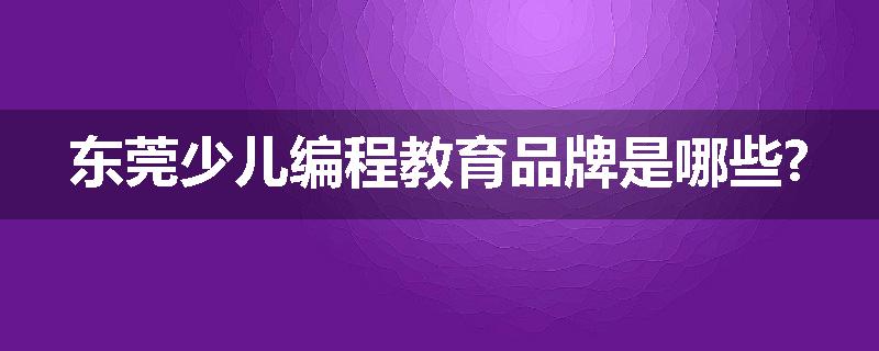 东莞少儿编程教育品牌是哪些?