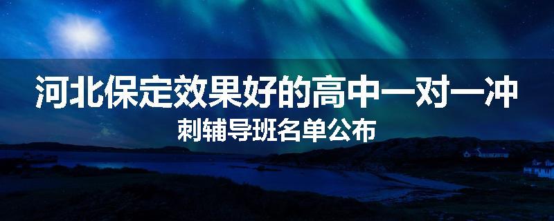 河北保定效果好的高中一对一冲刺辅导班名单公布