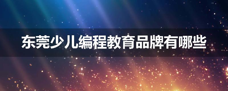 东莞少儿编程教育品牌有哪些