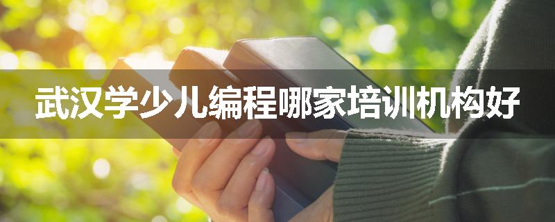 武汉学少儿编程哪家培训机构好