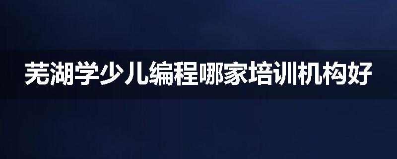 芜湖学少儿编程哪家培训机构好