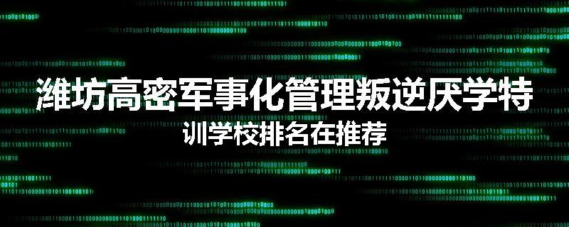 潍坊高密军事化管理叛逆厌学特训学校排名在推荐