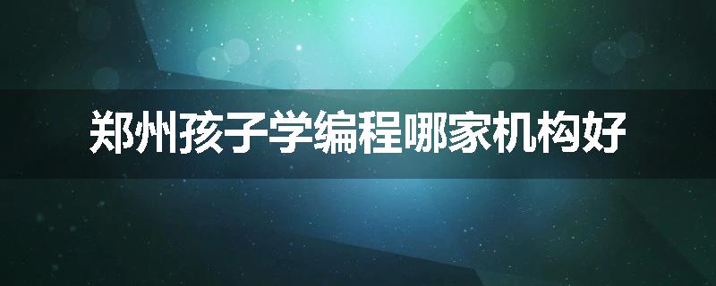 郑州孩子学编程哪家机构好