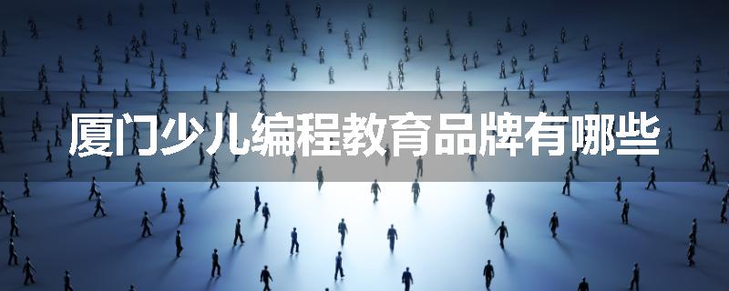 厦门少儿编程教育品牌有哪些