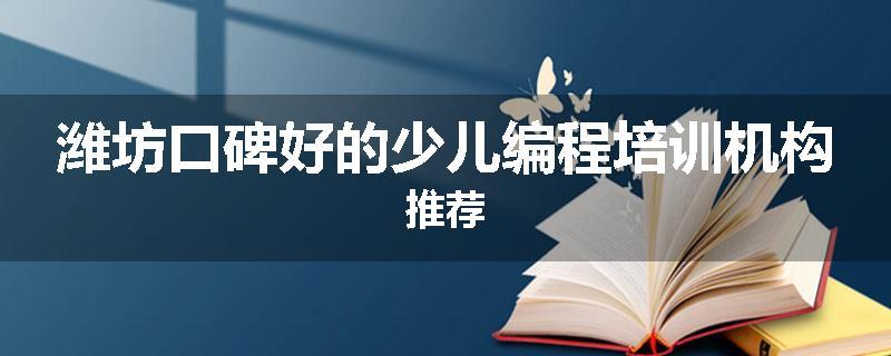 潍坊口碑好的少儿编程培训机构推荐