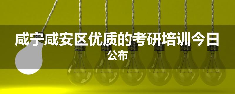 咸宁咸安区优质的考研培训今日公布
